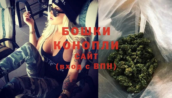 тгк Ладушкин