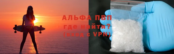 тгк Ладушкин