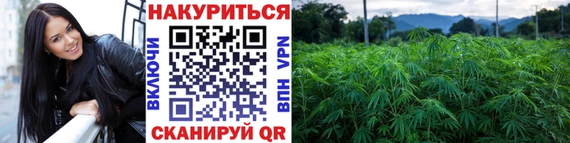 Купить  Жигулёвск  Канабис VHQ 